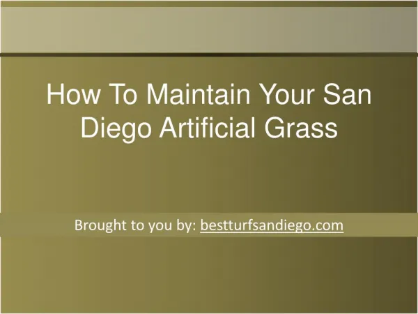 How To Maintain Your San Diego Artificial Grass