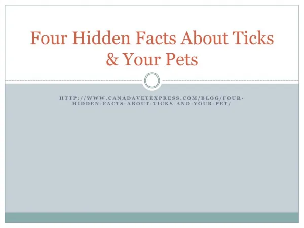 4 things you dont know about ticks and dogs