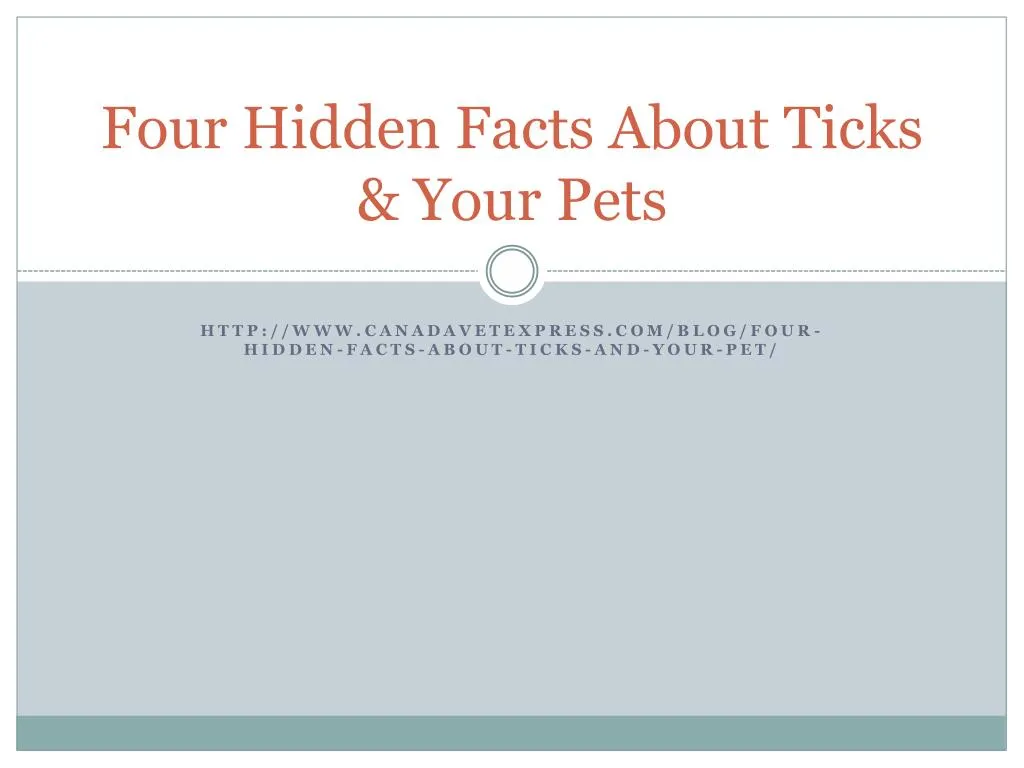 four hidden facts about ticks your pets