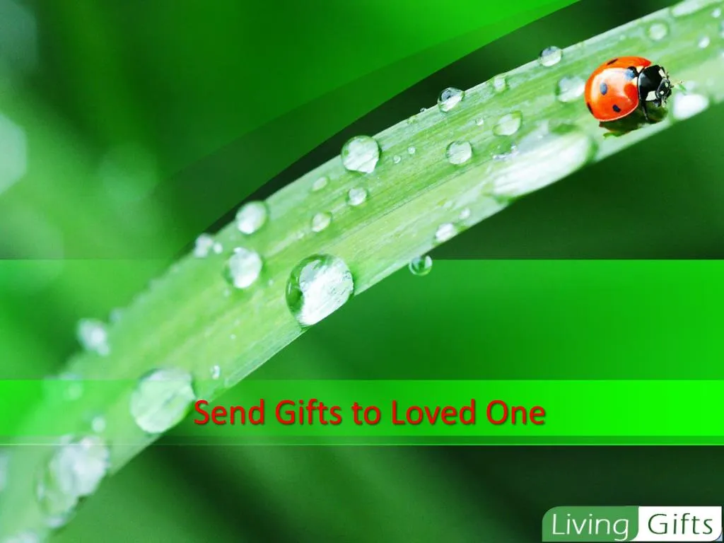 send gifts to loved one