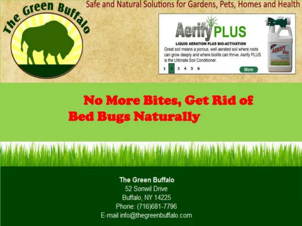 No More Bites, Get Rid of Bed Bugs Naturally
