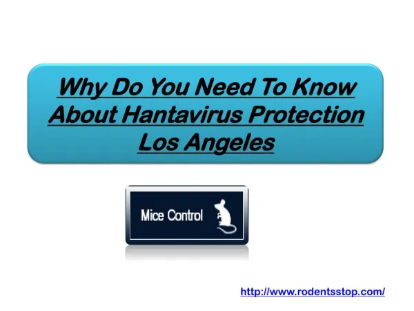 Why Do You Need To Know About Hantavirus Protection Los Ange