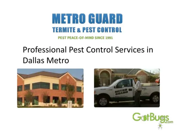 Professional Pest Control Services in Dallas Metro