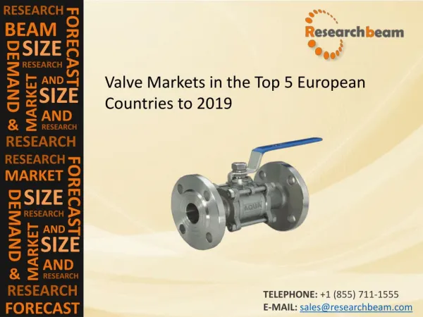 Valve Markets in the Top 5 European Countries to 2019