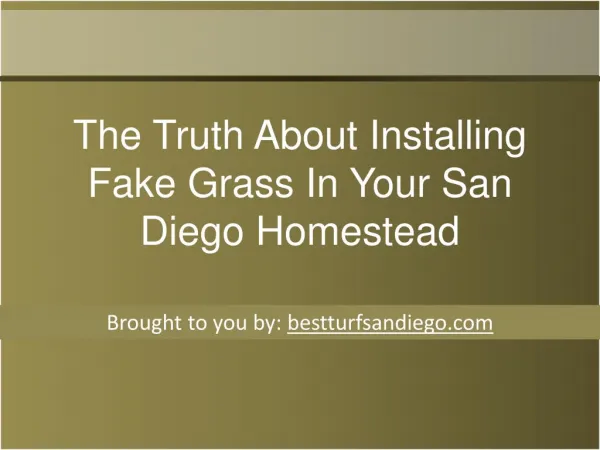 The Truth About Installing Fake Grass In Your San Diego Home