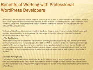 Benefits of Working with Professional WordPress Developers