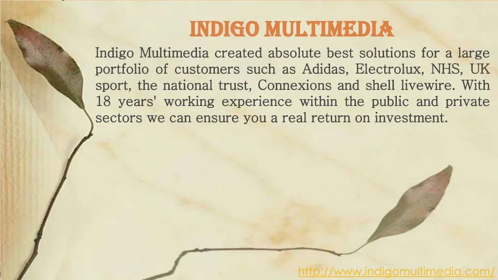 indigo multimedia