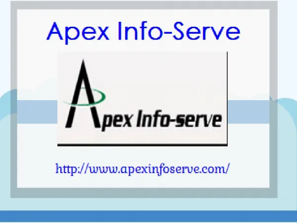 Expert SEO Company USA | Apex Info-Serve