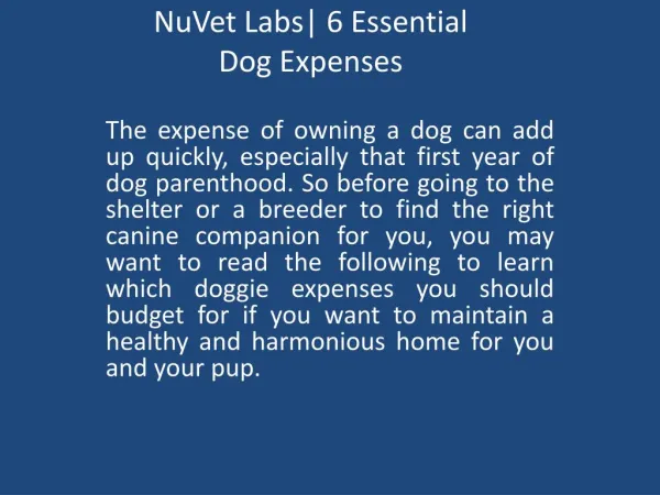 NuVet Labs: 6 Essential Dog Expenses