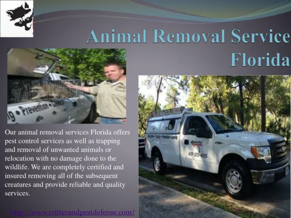 #Animal Removal Service Florida