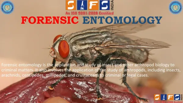 Advance Courses of Forensic Entomology - SIFS INDIA