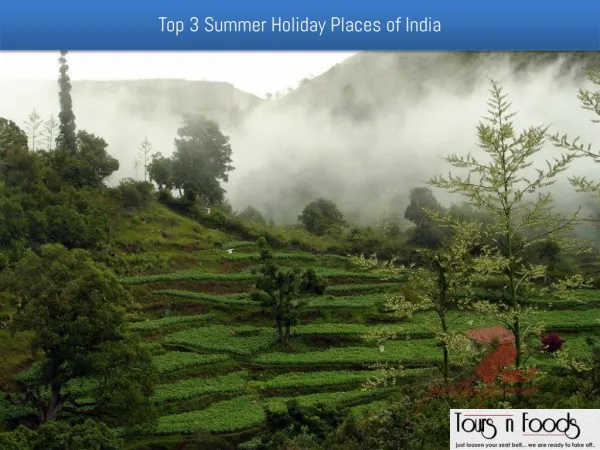 Top 3 Summer Holiday Places of India