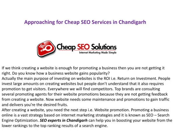 SEO Company Chandigarh - SEORAISERS