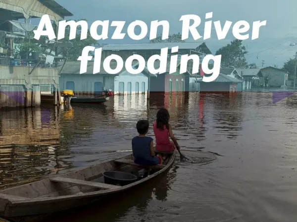 Amazon River Flooding