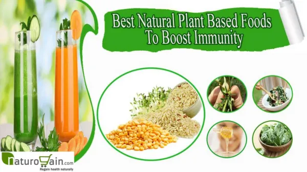 Best Natural Plant Based Foods To Boost Immunity