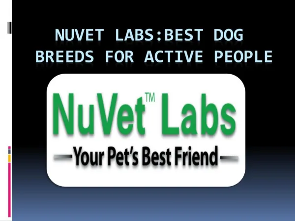 NuVet Labs: Best Dog Breeds for Active People