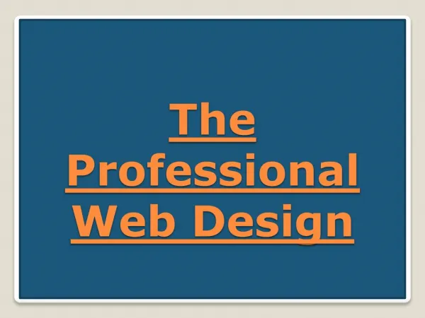 The Professional Web Design