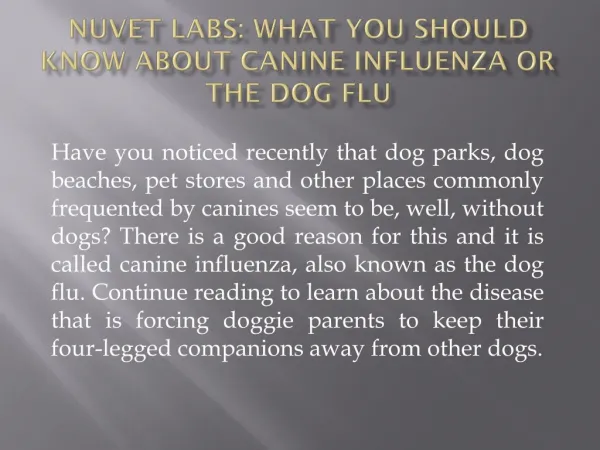 NuVet Labs| What You Should Know About Canine Influenza or T