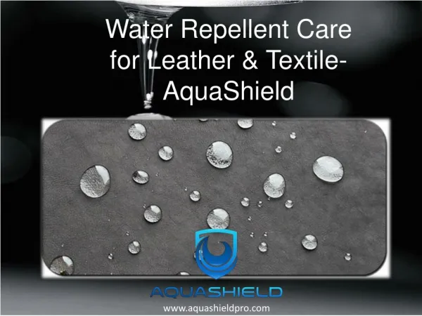 Water Repellent Care for Leather & Textile- AquaShield