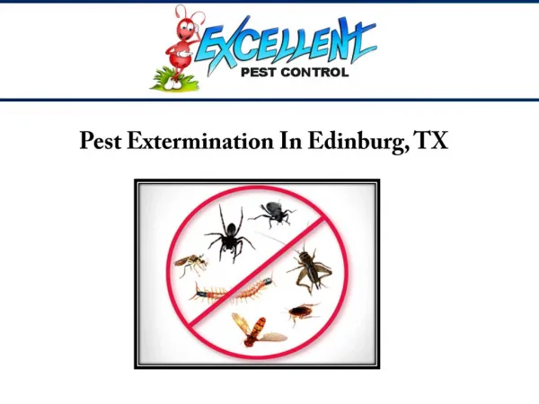 Pest Extermination In Edinburg, TX