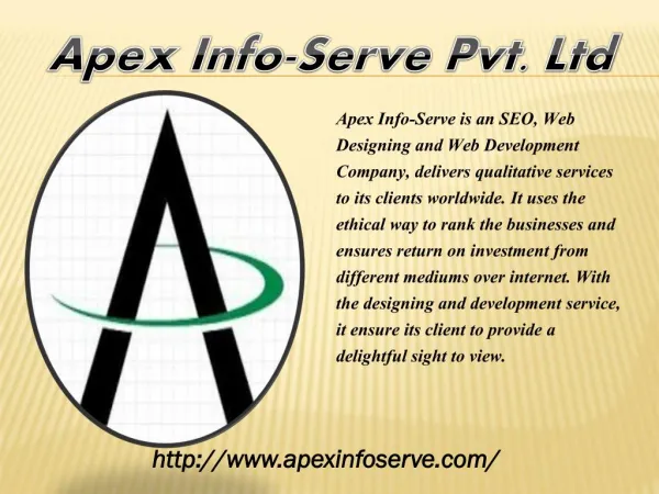 Florida SEO | Apex Info-Serve