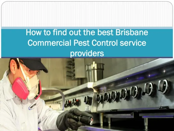 How to find out the best Brisbane Commercial Pest Control se