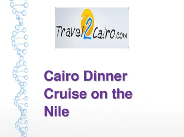 Cairo Dinner Cruise on the Nile