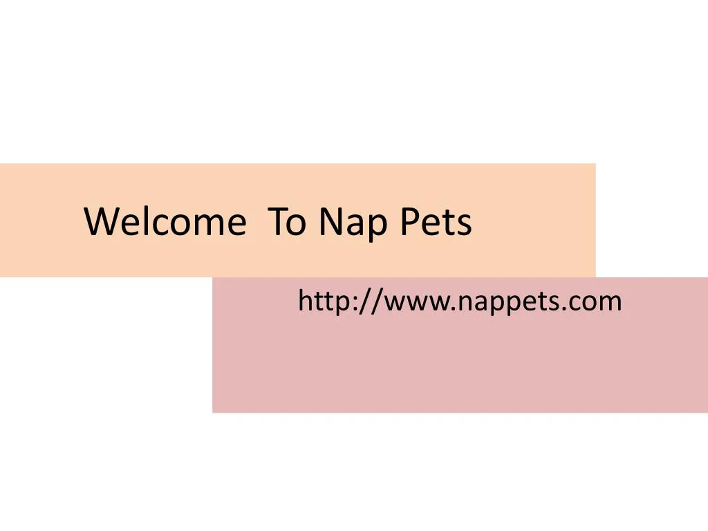 welcome to nap pets
