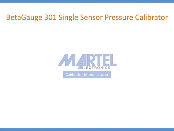 BetaGauge 301 Single Sensor Pressure Calibrator