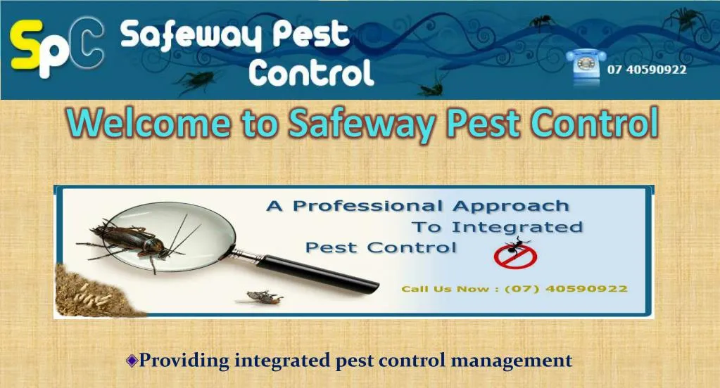 welcome to safeway pest control