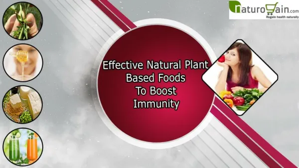 Effective Natural Plant Based Foods To Boost Immunity