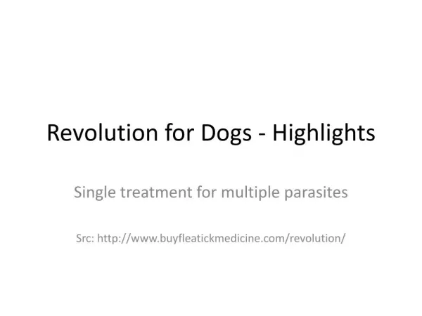 Review of Revolution for dogs