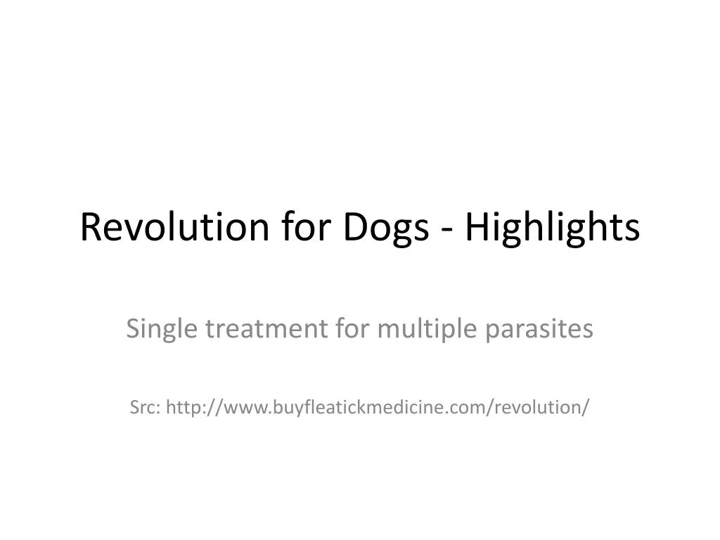 revolution for dogs highlights