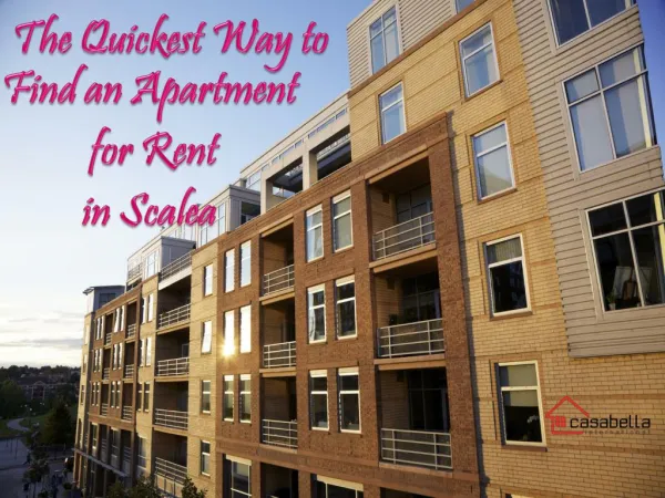 The Quickest Way to Find an Apartment for Rent in Scalea