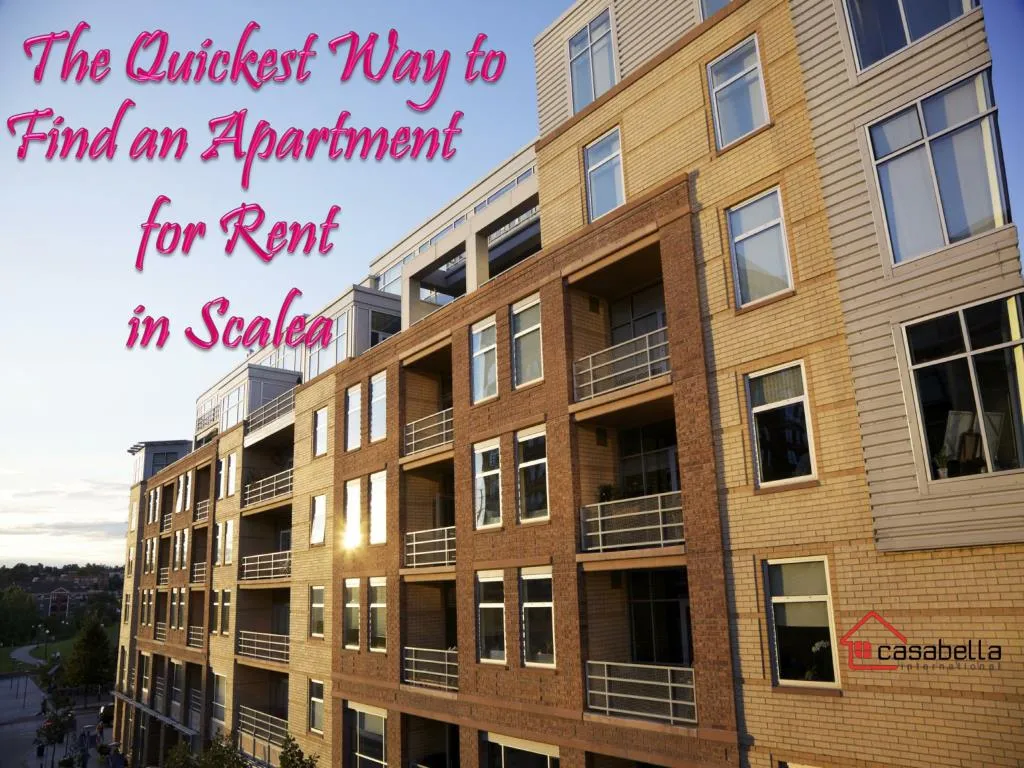 the quickest way to find an apartment for rent in scalea