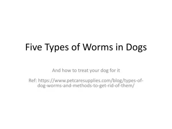 Four Types Of Worms in Dogs