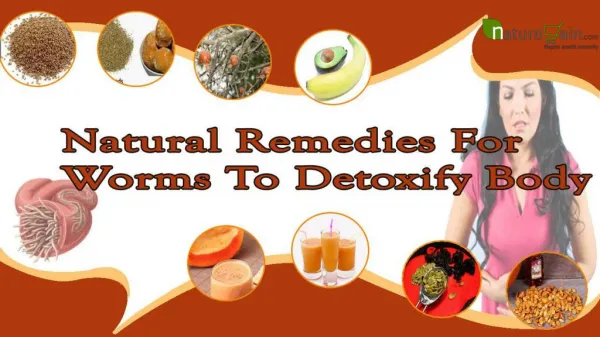 Top Natural Remedies For Worms To Detoxify Body And Make Cle