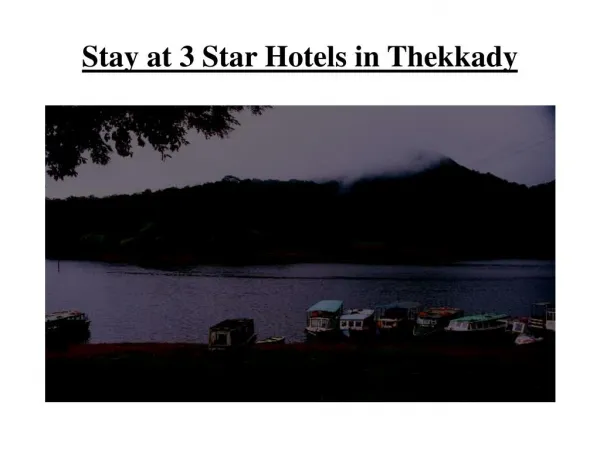 3 Star Hotels in Thekkady