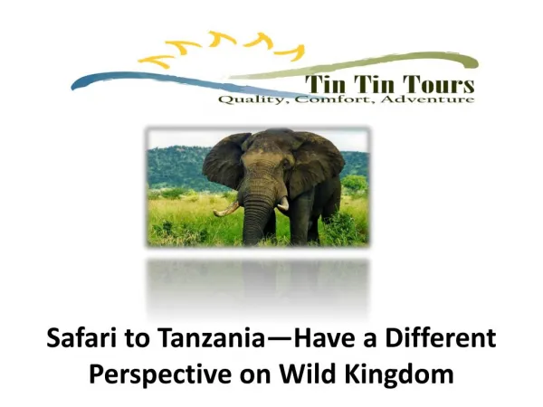 Safari to Tanzania—Have a Different Perspective on Wild King