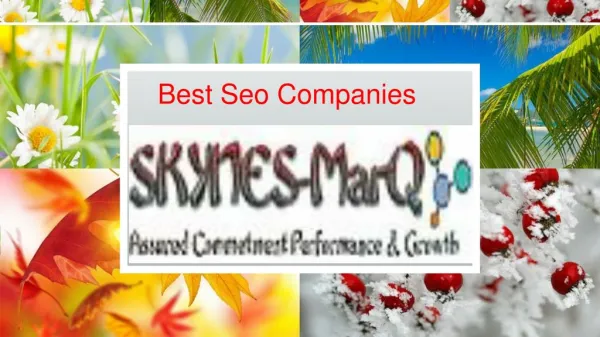 Best Seo Companies Skynes-MarQ