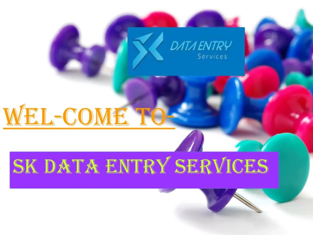 sk data entry services