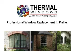 Professional Window Replacement in Dallas