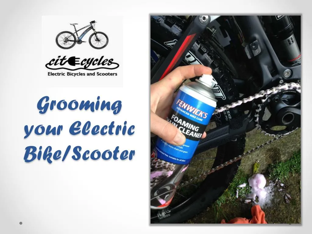 grooming your electric bike scooter