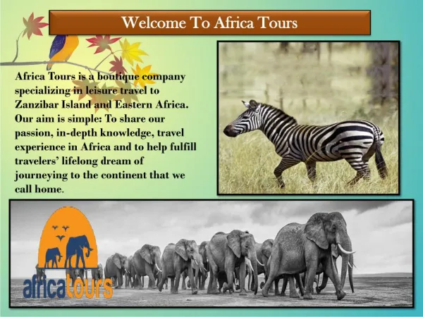 Mafia Island Package- Africa Tours