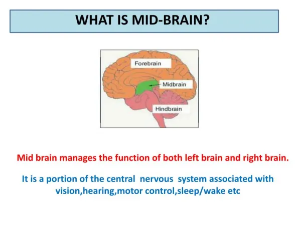 Mid Brain Activation for children