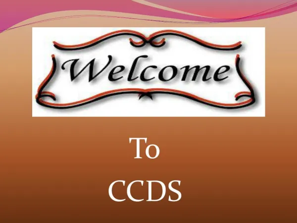 CCDS Provides tools for Cake Decorating Tool in India
