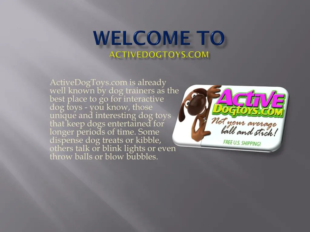 welcome to activedogtoys com