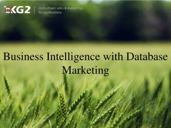 Business Intelligence with Database Marketing