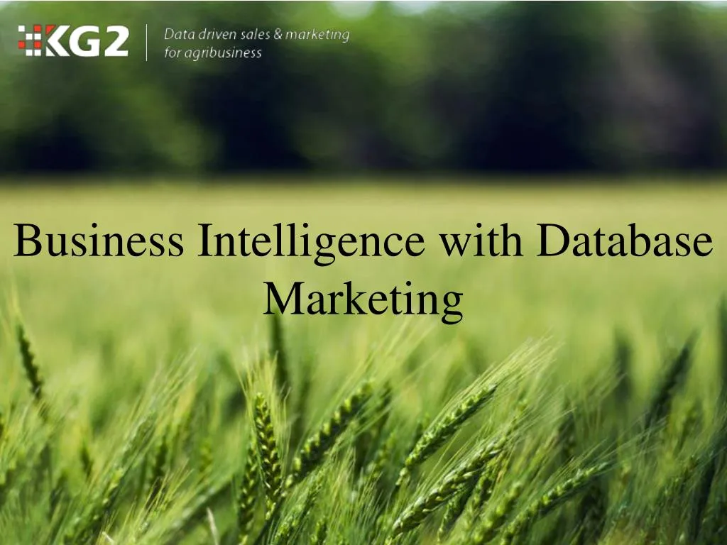 business intelligence with database marketing