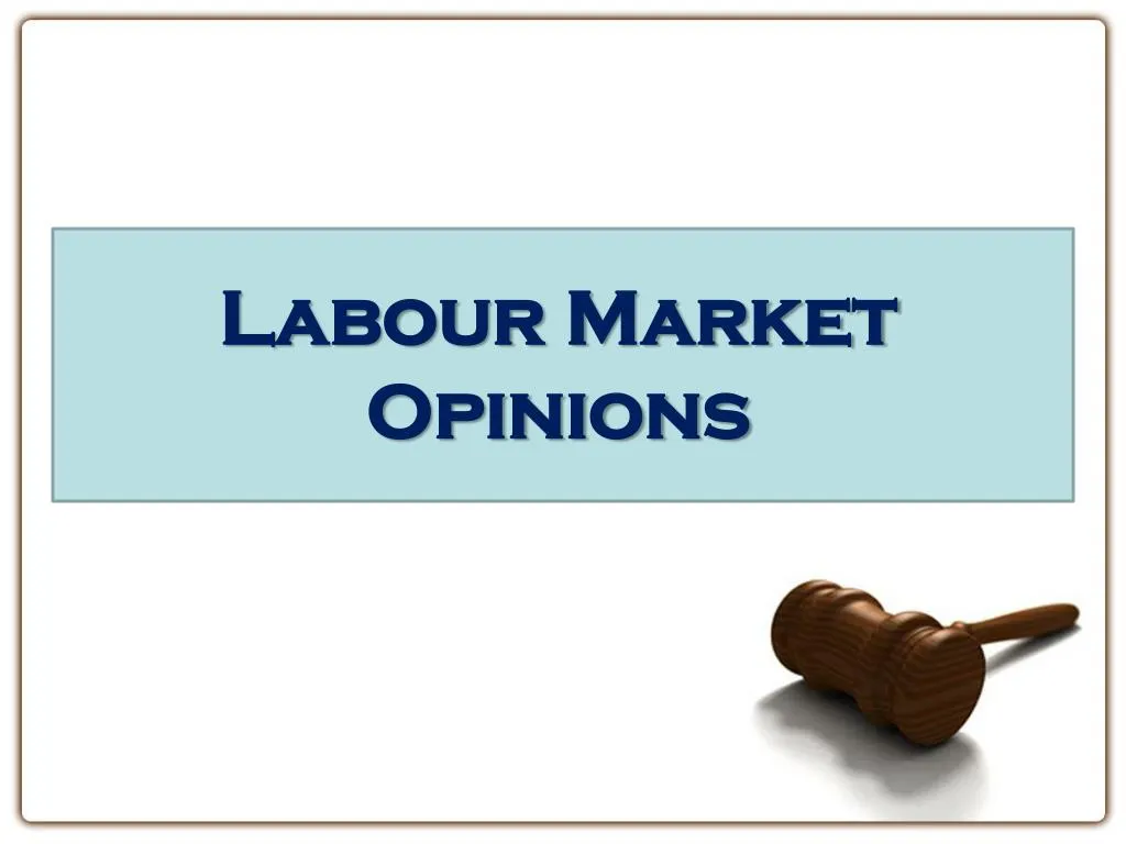 labour market opinions